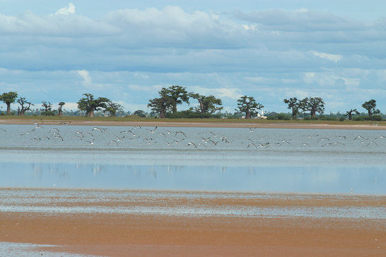 Lodge Du Delta Niominka Dinouar Luaran gambar